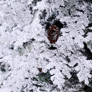 Ёлка "Элит снежная" с шишками (смешанные ветки) 210 см, d нижнего яруса 125 см, 500 веток