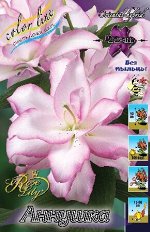 Лилии ROSELILY АННУШКА ( ROSELILY ANOUSHKA ORD) луковица 12/14