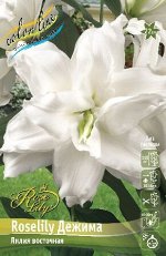Лилии ROSELILY ДЕЖИМА ( ROSELILY DEJIMA ORD) луковица 12/14