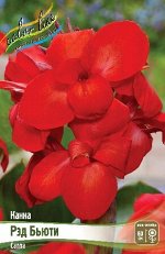 КАННА (ЗЕЛЕН) РЭД БЬЮТИ ( RED BEAUTY) луковица I