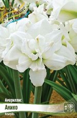 Амариллис