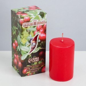 Свеча ароматическая "Клюквенный зефир", 4?6 см, в коробке