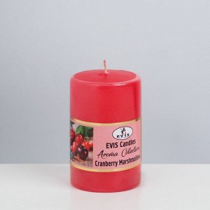 Свеча ароматическая "Клюквенный зефир", 4?6 см, в коробке