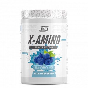 Комплекс Аминокислот X-Amino 2SN 360 гр.