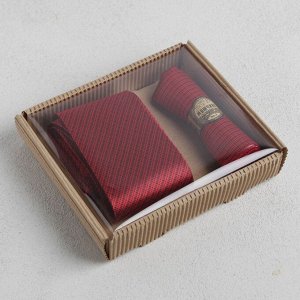 Подарочный набор Галстук, платок-сигара МИКС