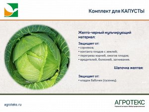 Комплект для капусты (желто-черный 80-1,06 х 6м + шапочка желтая -10шт)