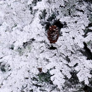 Ёлка "Элит снежная" с шишками (смешанные ветки) 240 см, d нижнего яруса 155 см, 824 ветки