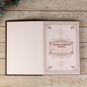 Подарочный набор родословная книга в шкатулке "С Новым годом", 26 см ? 27 см ? 8 см