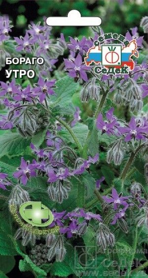 Пряность Бораго Утро ЦВ/П (СЕДЕК) 0,5гр огуречная трава однолетник