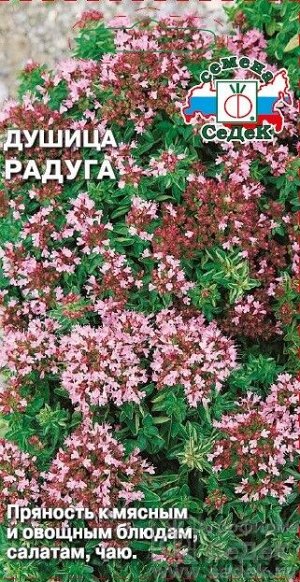 Пряность Душица Радуга ЦВ/П (СЕДЕК) 0,05гр многолетник