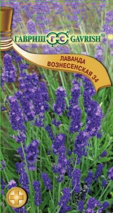 Пряность Лаванда Вознесенская узколистная ЦВ/П (ГАВРИШ) 0,05гр многолетник