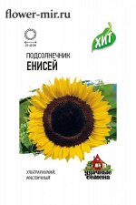 Подсолнечник на семечки Енисей ЦВ/П (ГАВРИШ) 5гр раннеспелый