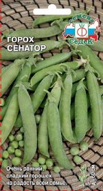 Горох Сенатор ЦВ/П (СЕДЕК) очень ранний до 60см