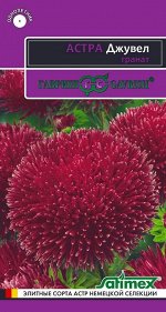 Цветы Астра Джувел Гранат ЦВ/П (ГАВРИШ) 0,1гр игольчато-коготковая однолетник 65-75см