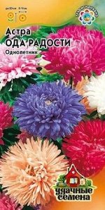 Цветы Астра Ода Радости Смесь ЦВ/П (ГАВРИШ) однолетник до 60см