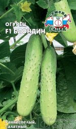 Огурец Блондин F1 ЦВ/П (СЕДЕК) белый раннеспелый