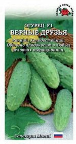 Огурец Верные Друзья F1 ЦВ/П (Сотка) раннеспелый