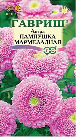 Цветы Астра Пампушка Мармеладная ЦВ/П (ГАВРИШ) 0,3гр помпонная однолетник 50см