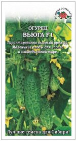 Огурец Вьюга F1 ЦВ/П (Сотка) скороспелый партенокарпический
