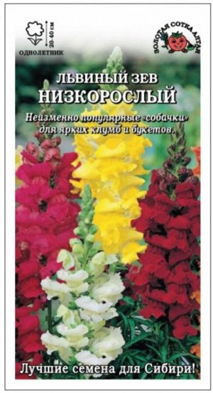 Цветы Львиный зев Низкорослая Смесь ЦВ/П (СОТКА) 0,1гр однолетник 20-40см