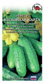 Огурец Козырная карта F1 ЦВ/П (Сотка) пучковый корнишон скороспелый партенкокарпический