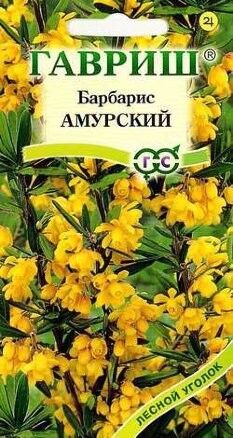 Цветы Барбарис Амурский ЦВ/П (ГАВРИШ) 0,2гр кустарник 0,5-1м