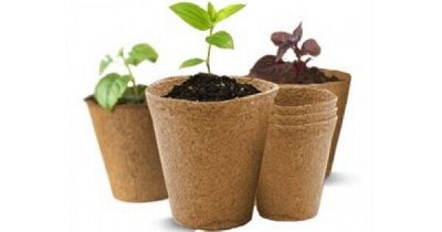 🌷Помощники для выращивания рассады