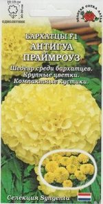 Цветы Бархатцы Антигуа Праймроуз F1 ЦВ/П (Сотка) однолетник прямостоячие до 25см