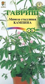 Цветы Мимоза стыдливая Кампино ЦВ/П (ГАВРИШ) 0,1гр комнатное до 80см