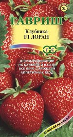 Клубника Лоран F1 ЦВ/П (ГАВРИШ) раннеспелый