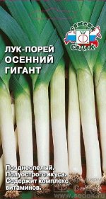 ЛУК Порей Осенний Гигант ЦВ/П (СЕДЕК) позднеспелый