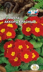Цветы Примула Аккорд Красный ЦВ/П (СЕДЕК) многолетник 15см