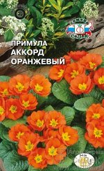 Цветы Примула Аккорд Оранжевый ЦВ/П (СЕДЕК) многолетник 15см