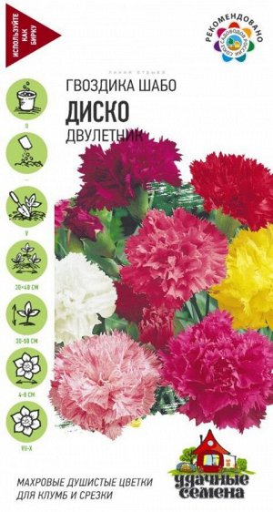 Цветы Гвоздика шабо Диско Смесь ЦВ/П (ГАВРИШ) 0,1гр двулетник 30-50см