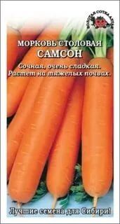Морковь Самсон ЦВ/П (Сотка) среднеспелый