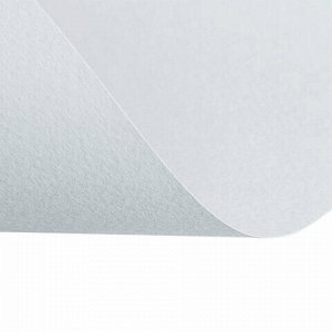 Бумага для пастели (1 лист) FABRIANO Tiziano А2+ (500х650 мм), 160 г/м2, серый светлый, 52551026