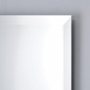 Зеркало с фацетом 15 мм, 50 х 100 см, Evoform