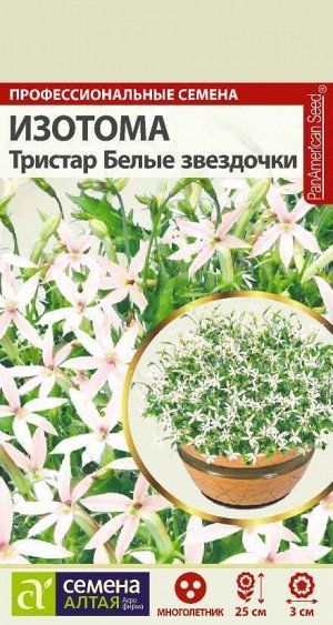 Изотома Тристар Белые звездочки/Сем Алт/цп 5 шт. многолетник