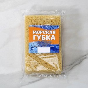 Губка для тела мягкая «Губка морская», 20?11,5?5 см