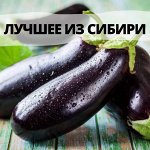 Баклажан, Патиссон, Кабачок