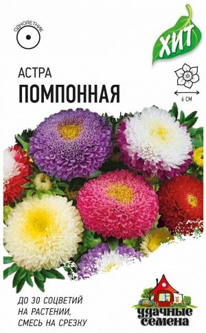 Астра Помпонная, однолетняя (смесь) 0,2 г ХИТ х3