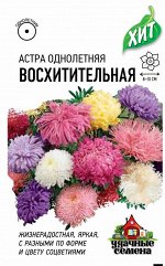Астра Восхитительная, однолетняя ( махровая смесь) 0,3 г ХИТ х3