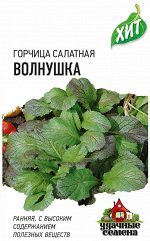 Горчица листовая Волнушка 1,0 г ХИТ х3