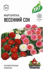 Маргаритка Весенний сон*, смесь 0,01 г ХИТ х3 DHп