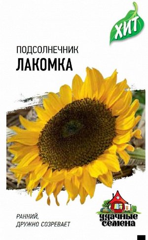 Подсолнечник Лакомка 5 г ХИТ х3