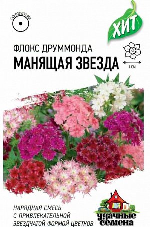 Флокс Манящая звезда, Друммонда* 0,05 г ХИТ х3