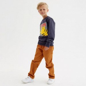 Свитшот для мальчика MINAKU: Casual Collection KIDS, цвет графит.