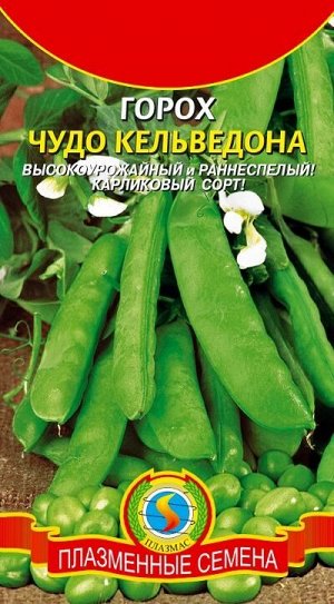 Горох Чудо Кельведона (Код: 89044)