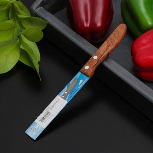 Нож кухонный «Эльбрус», зубчатое лезвие 11,5 см