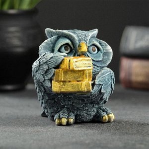 Фигурка гипс «Сова с книгами», серо-голубой, 10x6x6 см